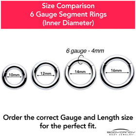 6G 3/8 316L Surgical Steel Precision Hinged Segment Hoop