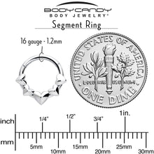 16G 5/16 3D Hearts Hinged Segment Ring