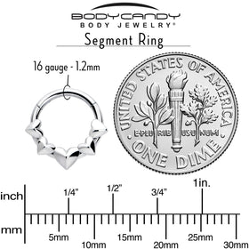 16G 5/16 3D Hearts Hinged Segment Ring
