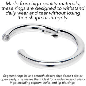 8G 3/8 316L Surgical Steel Precision Hinged Segment Hoop
