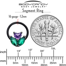 16G 3/8 Purple Green CZ Gem Black Love Flower Hinged Segment Ring