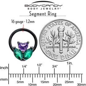 16G 3/8 Purple Green CZ Gem Black Love Flower Hinged Segment Ring