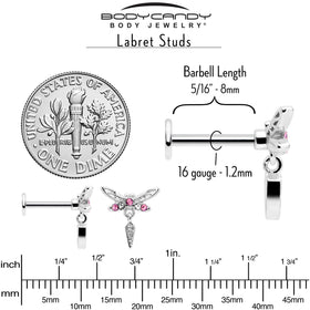 16G 5/16 Pink Gem Swank Dragonfly Dangle Labret Monroe Tragus