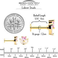 16G 5/16 Pink CZ Gem Gold Tone Love Flower Labret Monroe Tragus