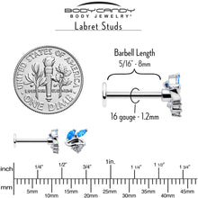 16G 5/16 Blue CZ Gem Swirl Fan Labret Monroe Tragus