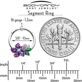 16G 3/8 Clear CZ Gem Flower Purple Hinged Segment Ring