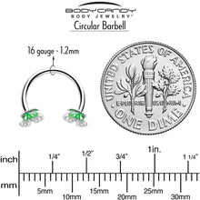 16G 3/8 Butterfly Green Splash Horseshoe Circular Barbell