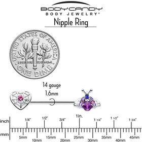 14G 9/16 Pink Blue Gem Spiderweb Heart Insect Barbell Nipple Ring Set