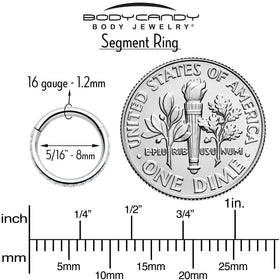 16G Clear Cubic Zirconia Forward Facing Hinged Segment Ring