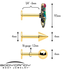 16G Frog Flat Back Earring Set Internally Threaded 3 Pack