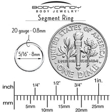 20G 5/16 Clear Cubic Zirconia Forward Facing Hinged Segment Ring