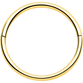 20G Implant Grade Titanium Half Closure Hinged Segment Ring