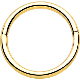 20G Implant Grade Titanium Half Closure Hinged Segment Ring