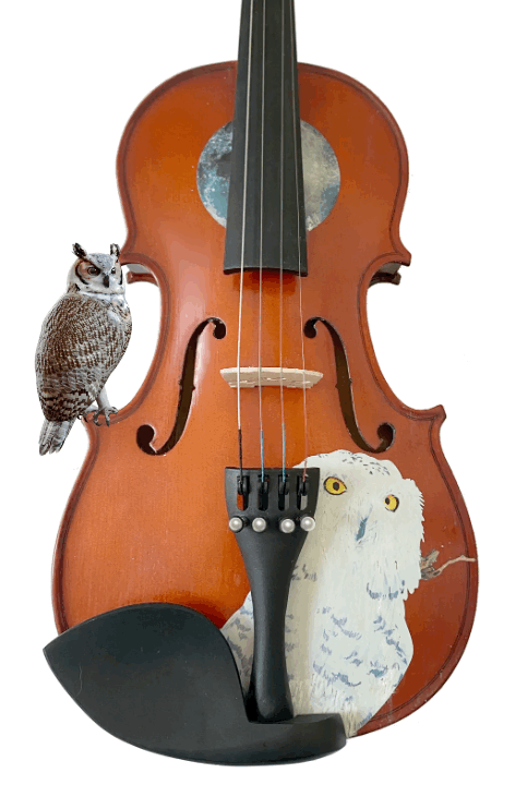 Mystic Owl Violin Outfit | Hand Applied Owl Design & Crystal Fine Tuners