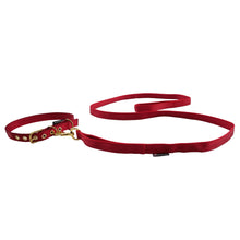 Leashes Seatbelt