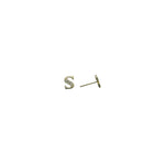 14k Yellow Gold CZ Initial S Stud Earrings