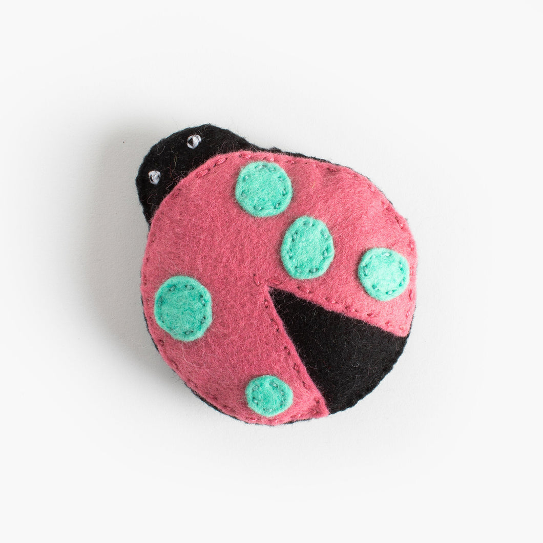 Addie the Unusual Ladybug