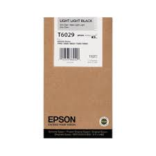New, Pre-Owned - Epson T6029 Standard Yield 110ml Light Light Black Ink Cartridge, C13T602900