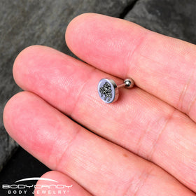 Leaping Leapfrog Spiders Tragus Cartilage Earring by Onyx O