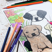 Canine Colors Coloring Pages (10 Pack)