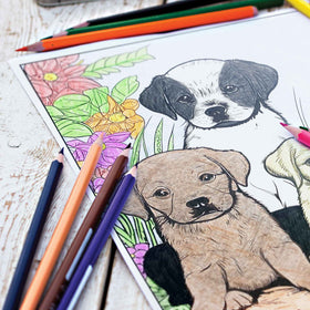 Canine Colors Coloring Pages (10 Pack)