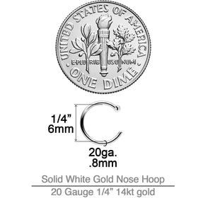 20G 1/4 14k Solid White Gold Nose Hoop