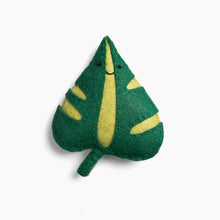 Stasya the Resilient Monstera