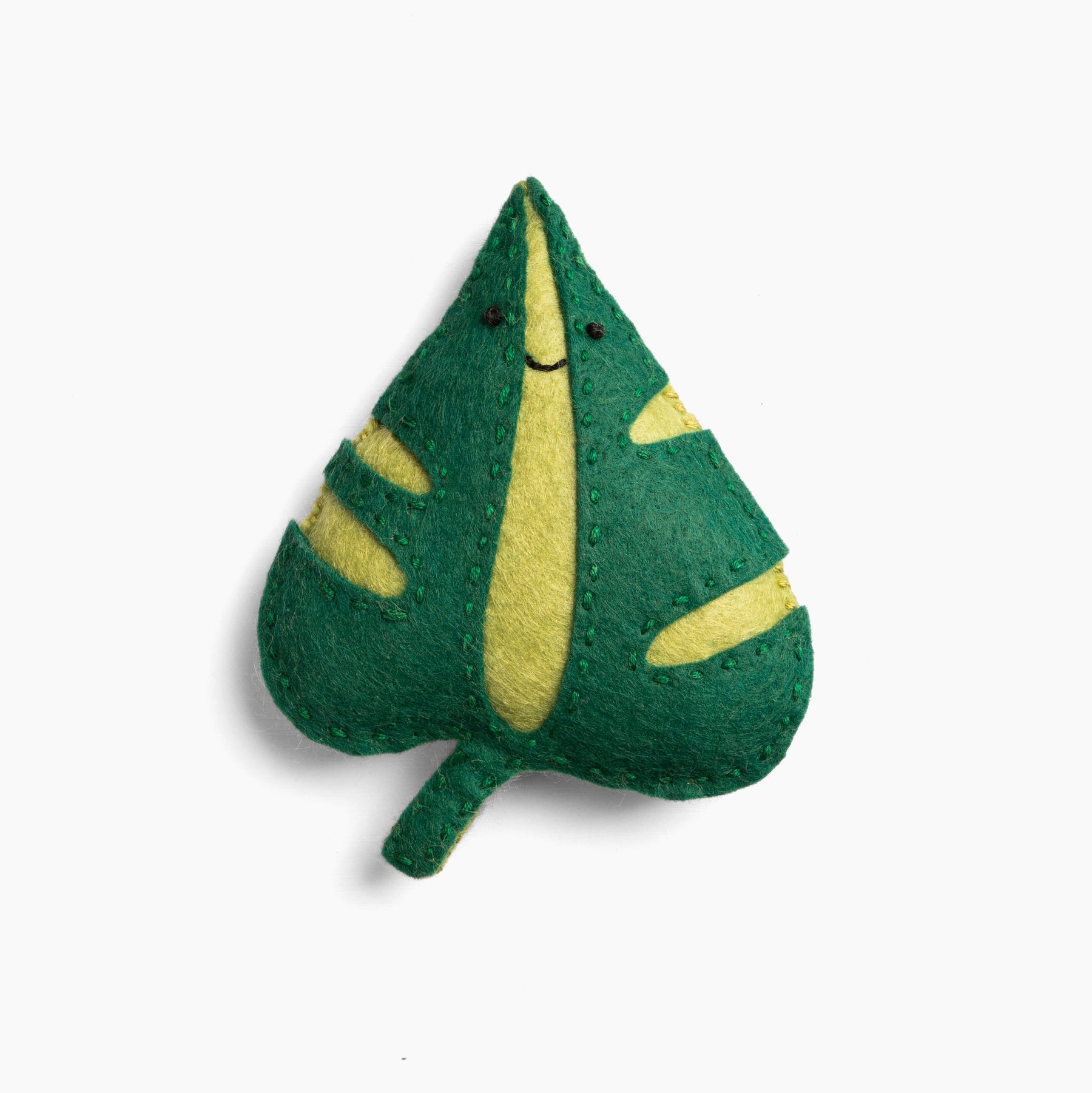 Stasya the Resilient Monstera