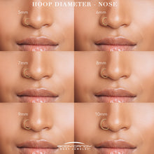 18G Micro Gem Titanium Hinged Nose Hoop