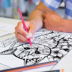 Kitty Colors Coloring Pages (10 Pack)