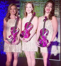 Custom Electric Acoustic Violin