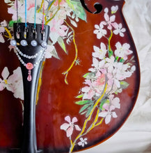 Cherry Blossom Cello Outfit | Pearl Fine Tuners & Brazilwood Bow