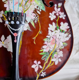 Cherry Blossom Cello Outfit | Pearl Fine Tuners & Brazilwood Bow