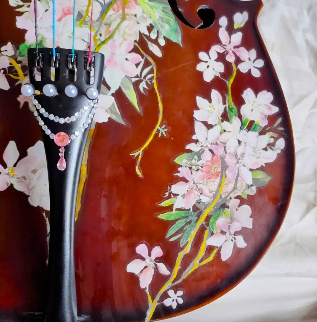 Cherry Blossom Cello Outfit | Pearl Fine Tuners & Brazilwood Bow