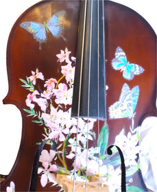 Cherry Blossom Cello Outfit | Pearl Fine Tuners & Brazilwood Bow