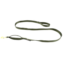 Leashes Seatbelt