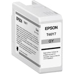 New, Pre-Owned - Epson T46Y7 Standard Yield GRAY Ink Cartridge