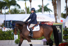 American Equus "Elite" English Stirrups Illusion Gray
