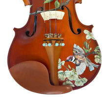 Rozanna's Song Bird Violin Outfit | Robin Egg Blue Pearl Tuners & Brazilwood Bow