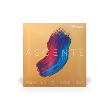 Violin - Ascente Strings