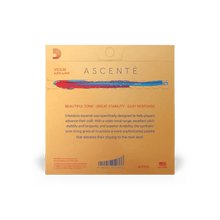 Violin - Ascente Strings