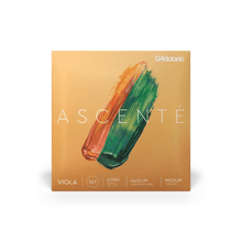 Viola - Ascente Strings
