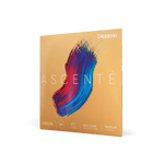 Violin - Ascente Strings