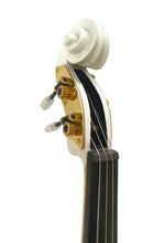 Rose Delight Electric Acoustic Violin Outfit | Mechanical Pegs & Carbon Fiber Bow
