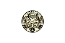 Magic: The Gathering - Infect Plains Pin