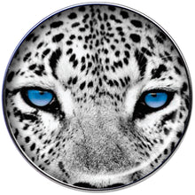 16G 1/4 Black White Leopard Eyes Tragus Cartilage Earring