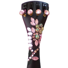 Rozanna's Lumina Artist Violin Outfit – Aria
