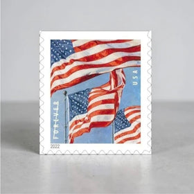 2022 USA First-Class Forever Postage Stamps Roll - 100 Count