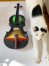Rozanna's Galaxy Ride Deluxe Violin Outfit | Carbon Fiber Bow & Star Case