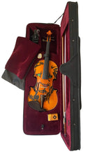 Rozanna's Lion Spirit Emerald Eyes Violin Outfit
